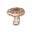 Springy Mushroom