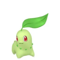 Chikorita