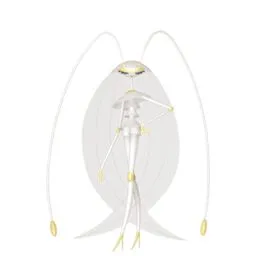 Pheromosa