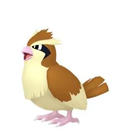 Pidgey