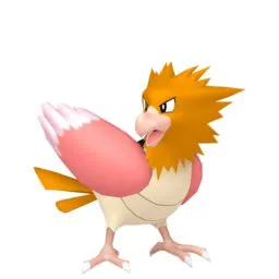 Spearow